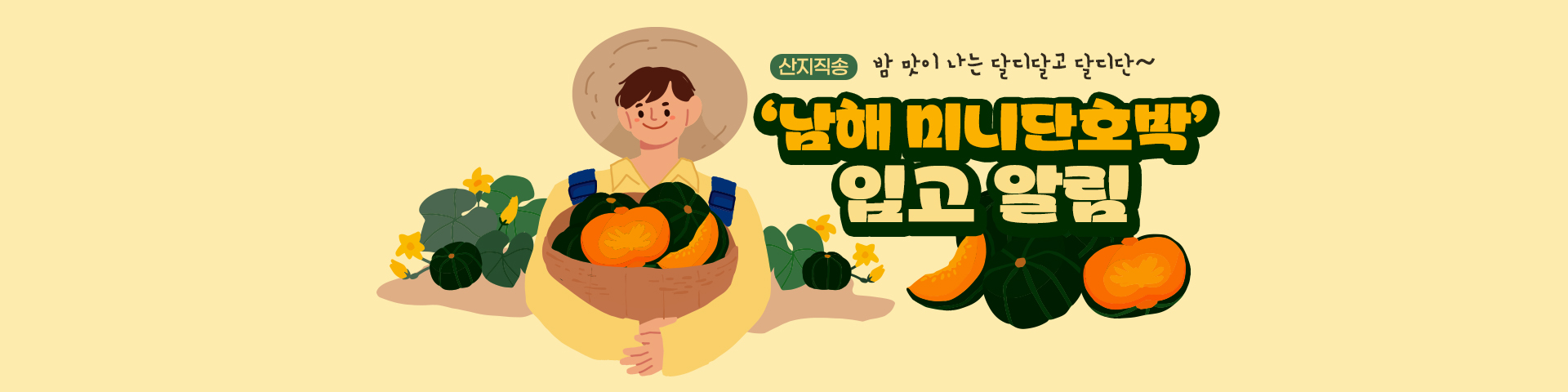 미니단호박