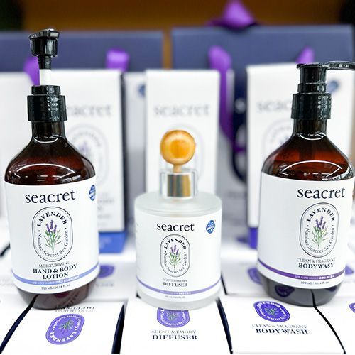 [ũٴ] 󺥴 ǻ, ٵ, ڵ&ٵμ