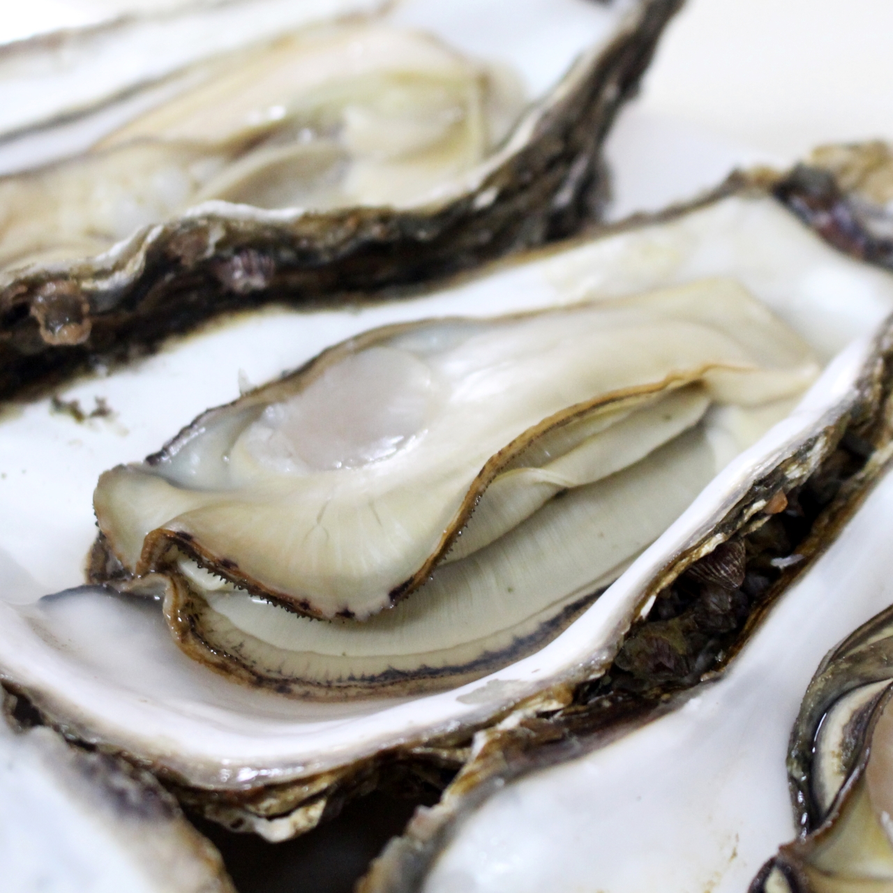  [��������] ���� ����, ȫ���� ����