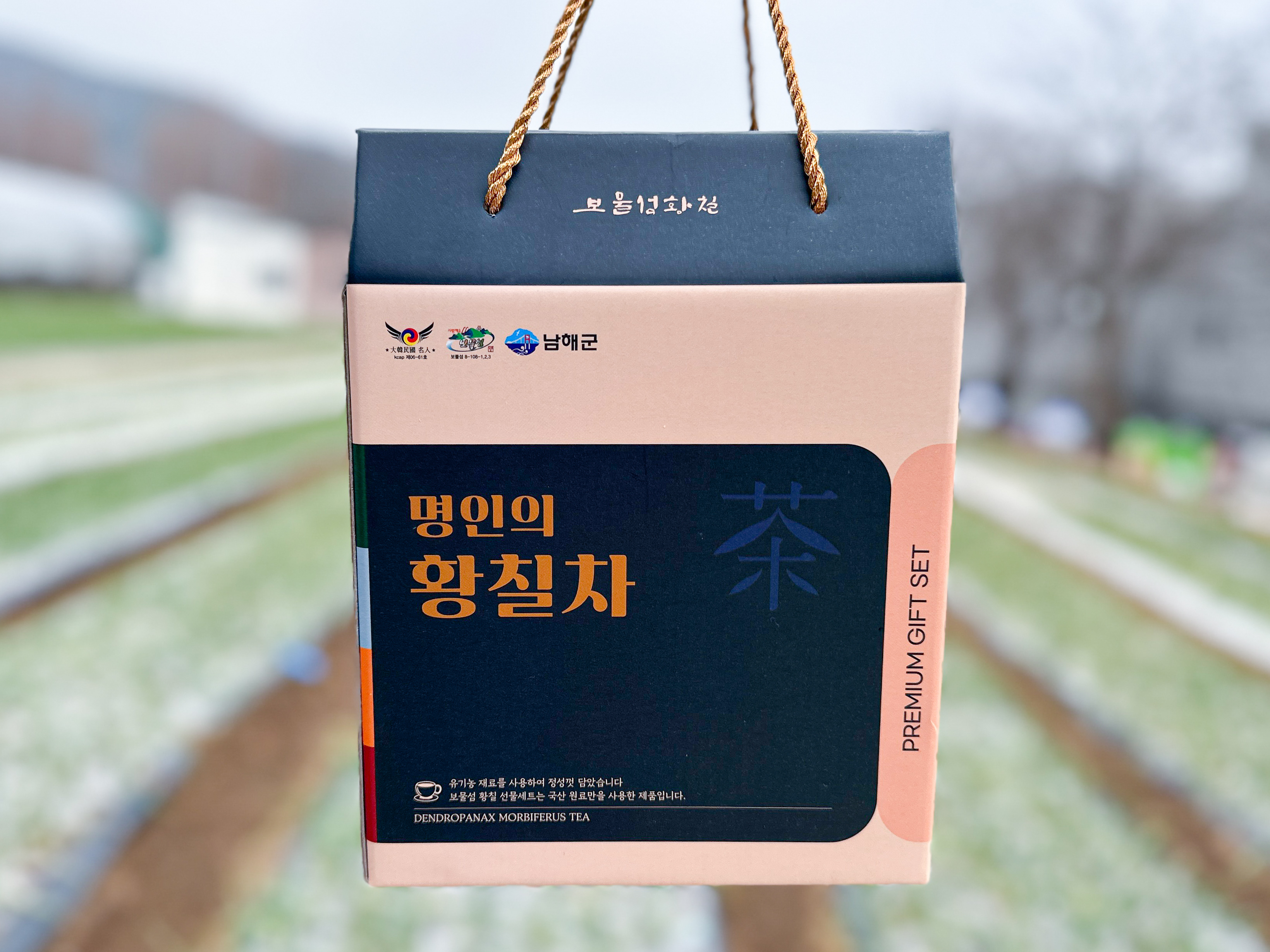 [������Ȳĥ] ������Ʈ(Ȳĥ��, ������ ����)