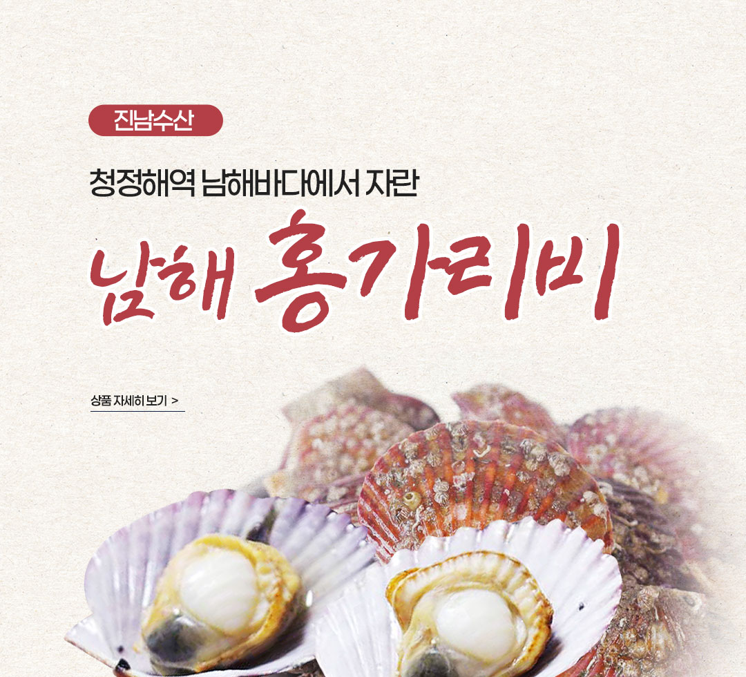 [��������] ���� ȫ������ 