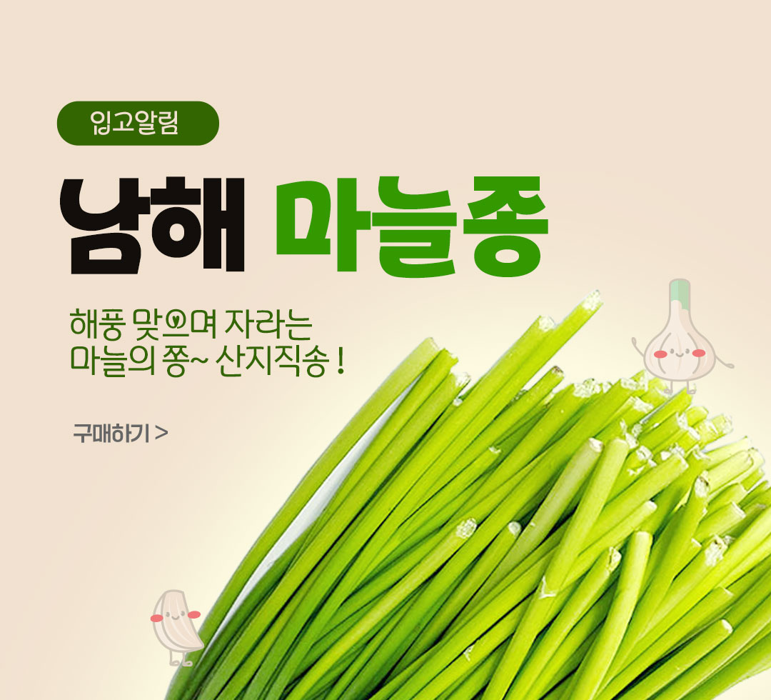 마늘종 입고