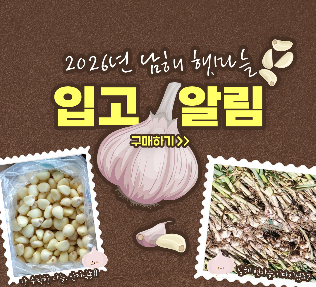 햇마늘입고